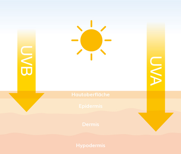 UV-A und UV-B-Strahlen, die auf unterschiedliche Hautschichten treffen