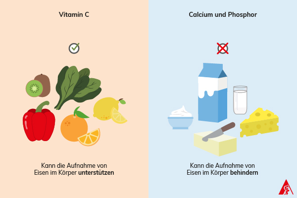Phosphor und Calcium hemmen die Aufnahme von Eisen im Körper, Vitamin C unterstüzt sie.