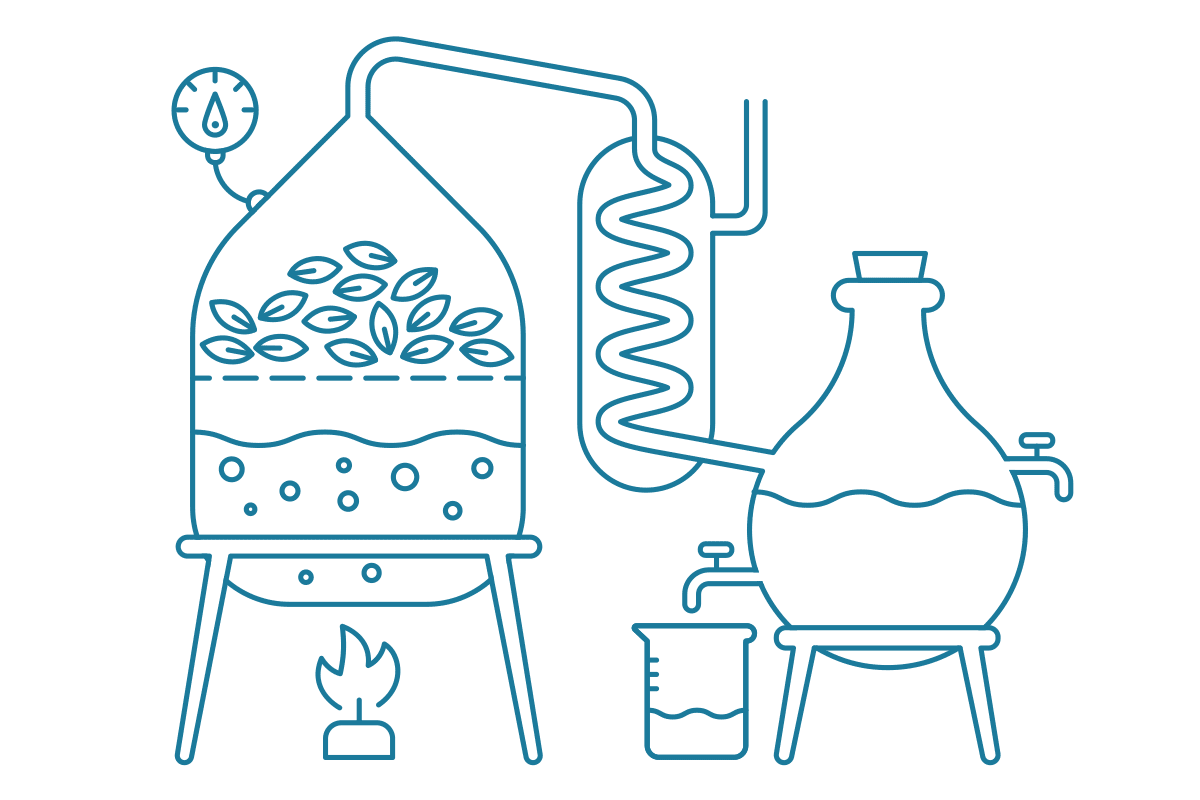 Destillation von ätherischen Ölen